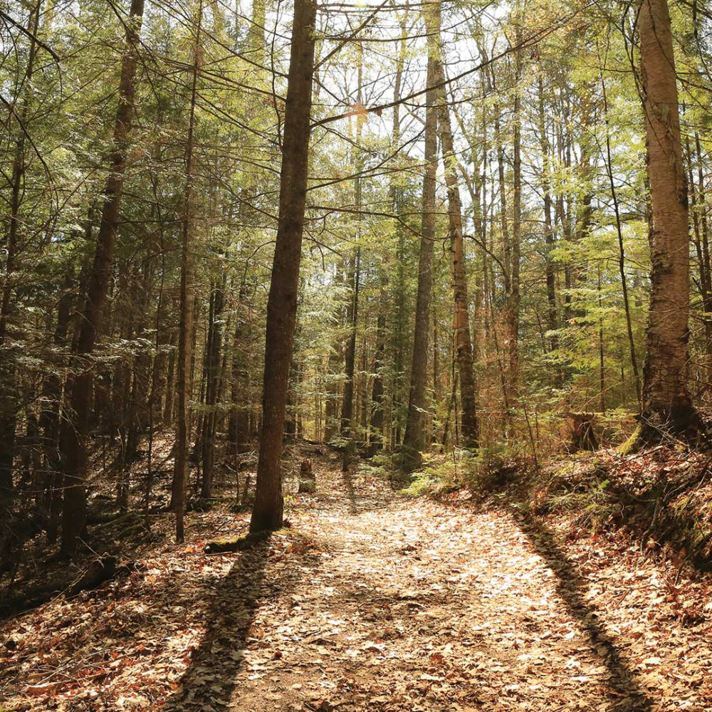 First Mountain Bike Ride of 2024: Raven Trails