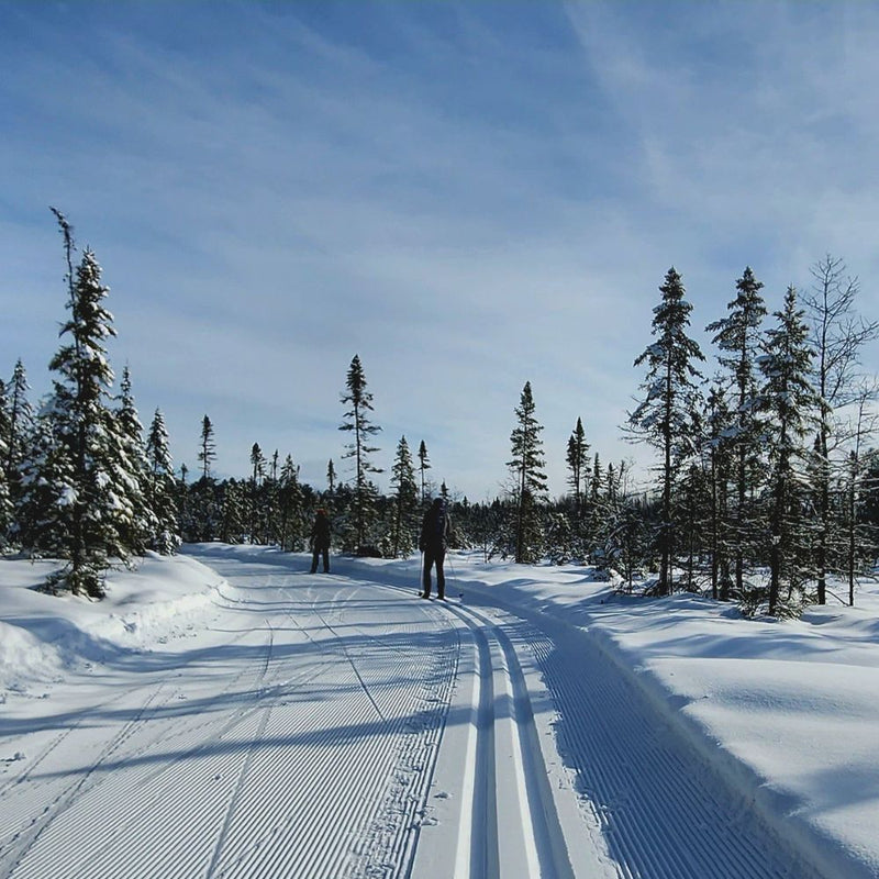 Adventure Awaits: 10 Best Things to Do in the Northwoods This Winter