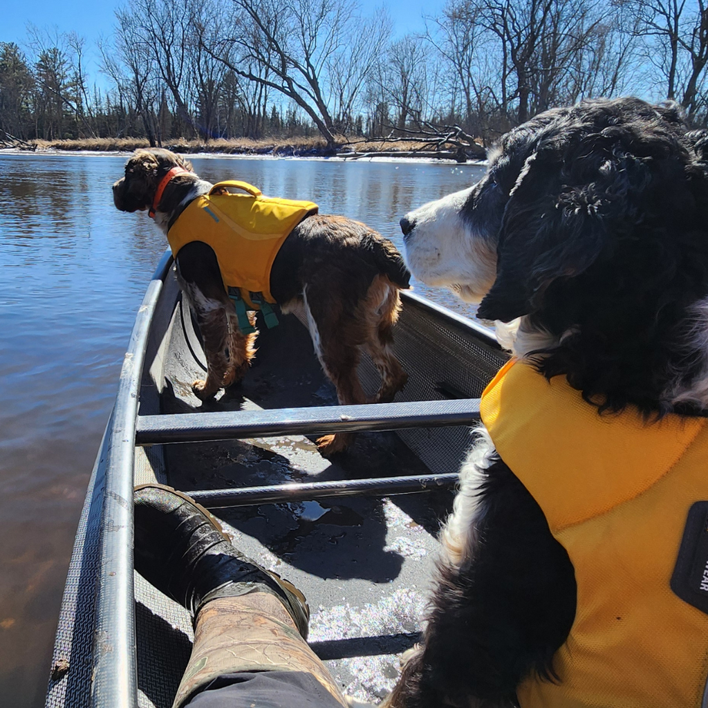 Paddleboarding and Kayaking with Your Pup: Tips from Coontail