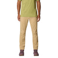 Mountain Hardwear AP Active Pant mens hiking pants