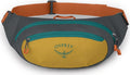 DayLite Waist