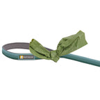 Front Range Dog Leash