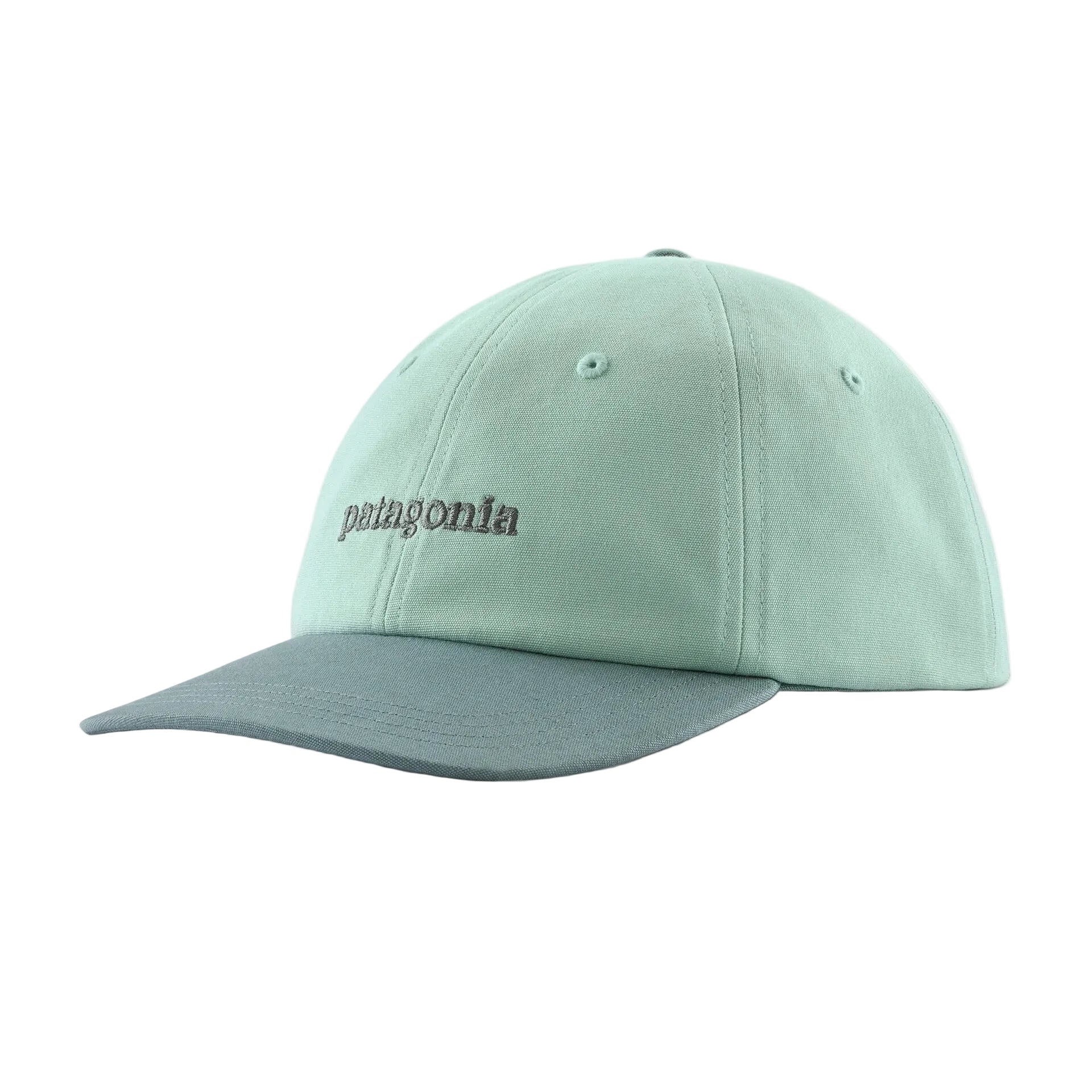 Women’s Patagonia Fitz Roy Icon Trad Cap in Text Logo Thin Ice