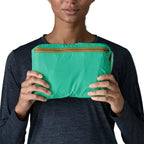 Patagonia Terravia Tote Pack 24L in pack view