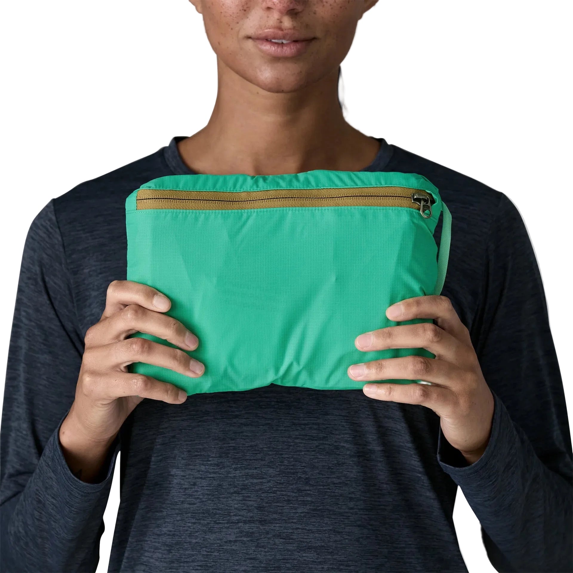 Patagonia Terravia Tote Pack 24L in pack view