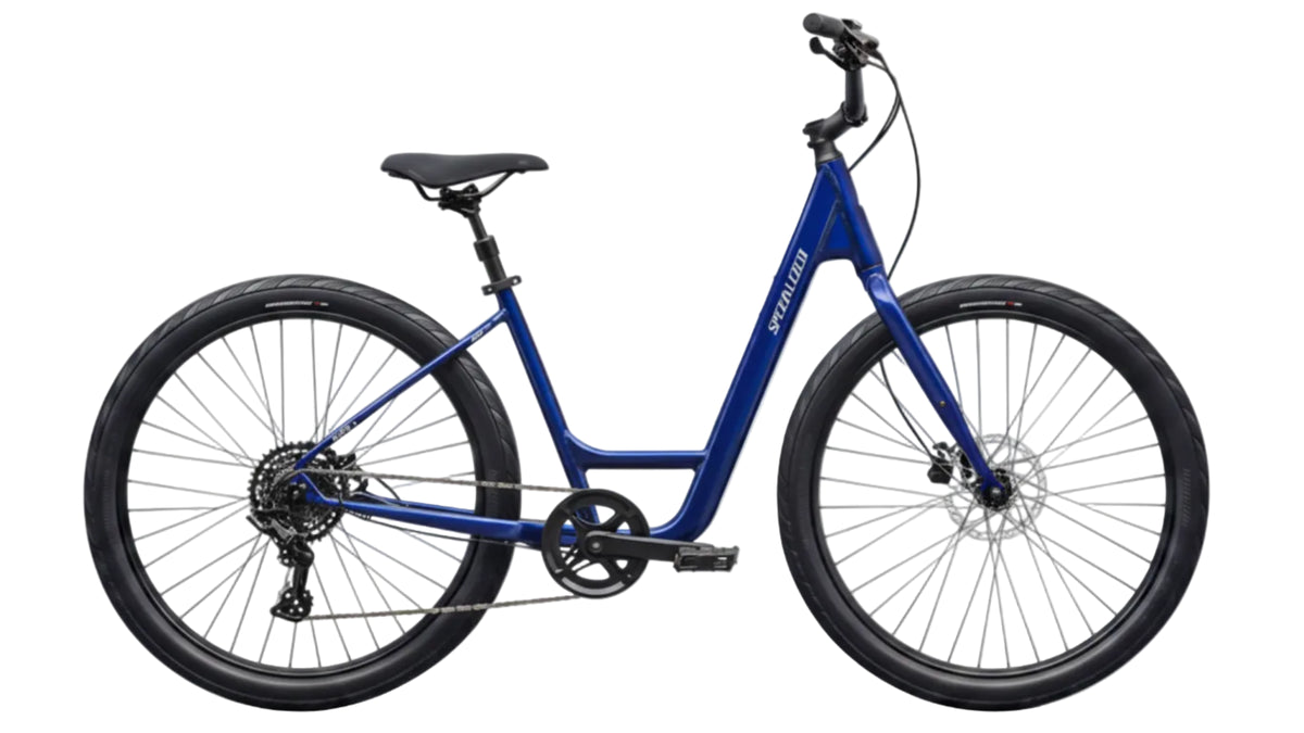 Specialized Roll 3.0 Coontail Rental Bike - great for bike paths and light trails