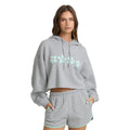 Billabong Palmer Fleece Hood Sweatshirt in Heather Gray front view
