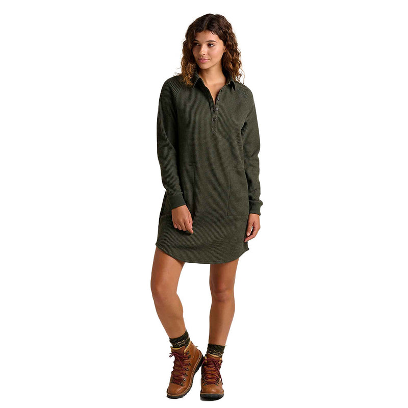 Toad & Co Bitterroot Henley Dress