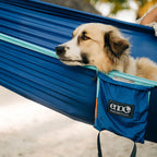 DoubleNest Hammock