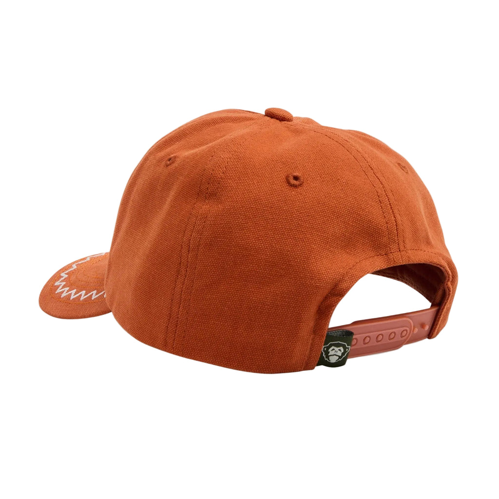 Howler Bros Standard Hat in Hermanos Script Pumpkin back view with snapback closure