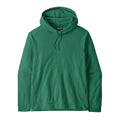 Patagonia Men's Micro D Fleece Hoody in Gem Green front view