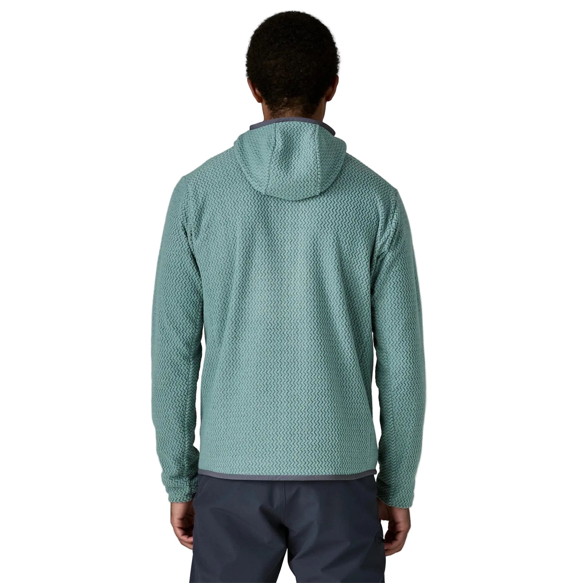 Patagonia Men's R1 Air Fleece Full-Zip Hoody in Blue Sage back view
