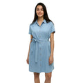 tentree Denim Tern Dress in Light Wash front view