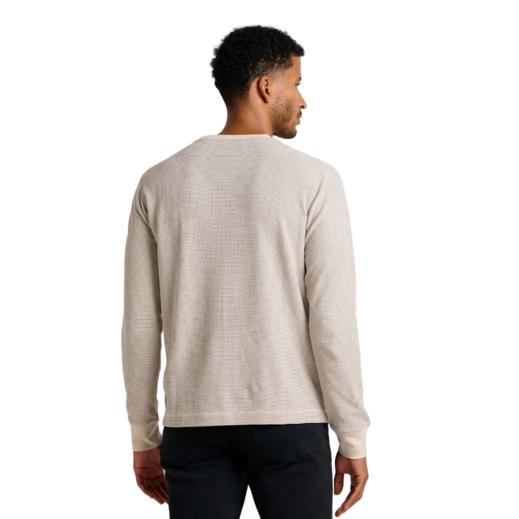 Toad & Co Men's Framer LS Crew in Heather Grey Stripe back view