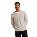 Toad & Co Men's Framer LS Crew in Heather Grey Stripe front view
